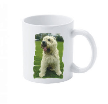 Beker / Mok