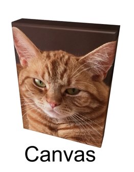 Nr.140 Canvas ingespannen vanaf &euro; 20,00