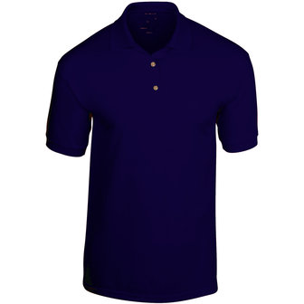 Nr.082 Polo