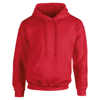 Nr.595 Hoodie