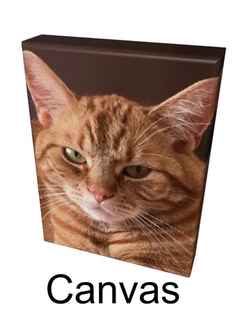 Nr.140 Canvas ingespannen vanaf € 20,00
