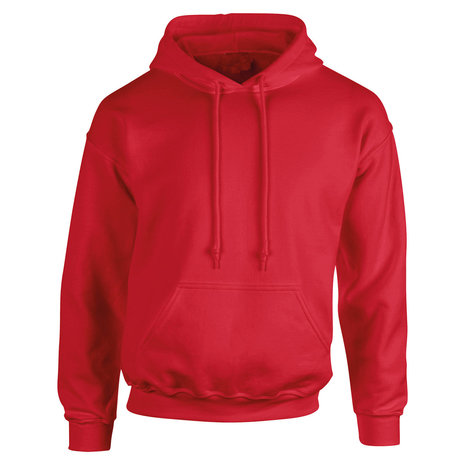 Nr.595 Hoodie